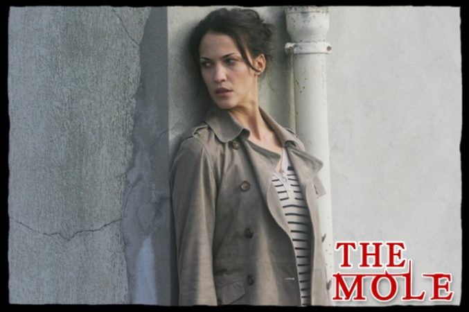 the-mole-04