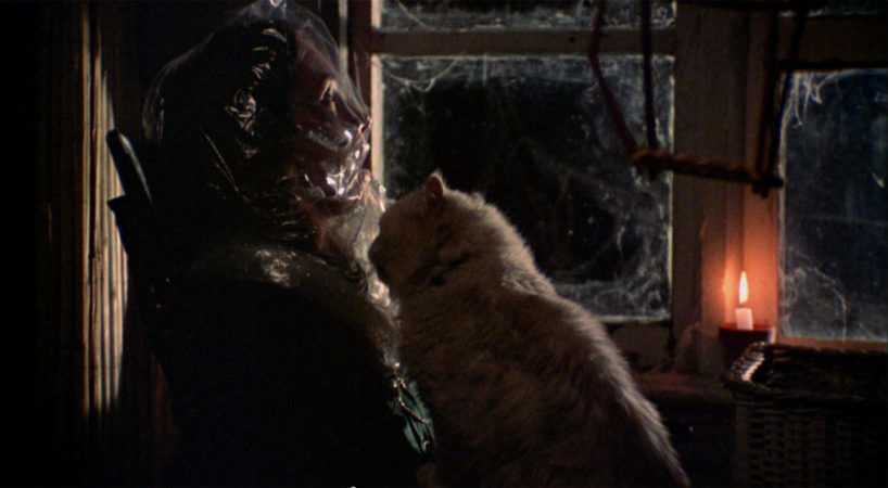 Schermata-2017-01-11-alle-15.06.34