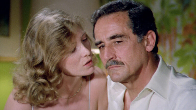 142 DEAR DADDY (1).01_14_37_24.Immagine011