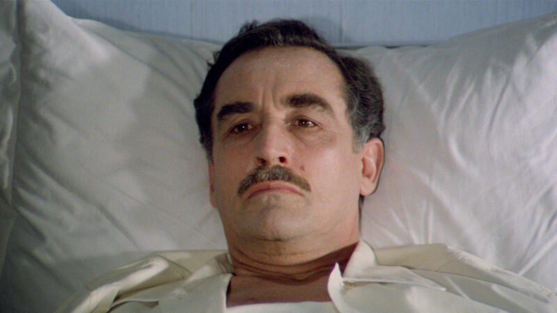 142 DEAR DADDY (1).01_31_45_24.Immagine013